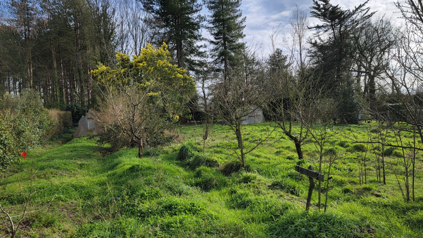 Terrain constructible 1 037 m² - Challans